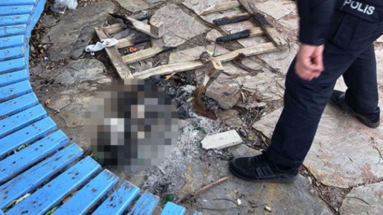 Parkta yavru kediyi yakarak öldürdüler