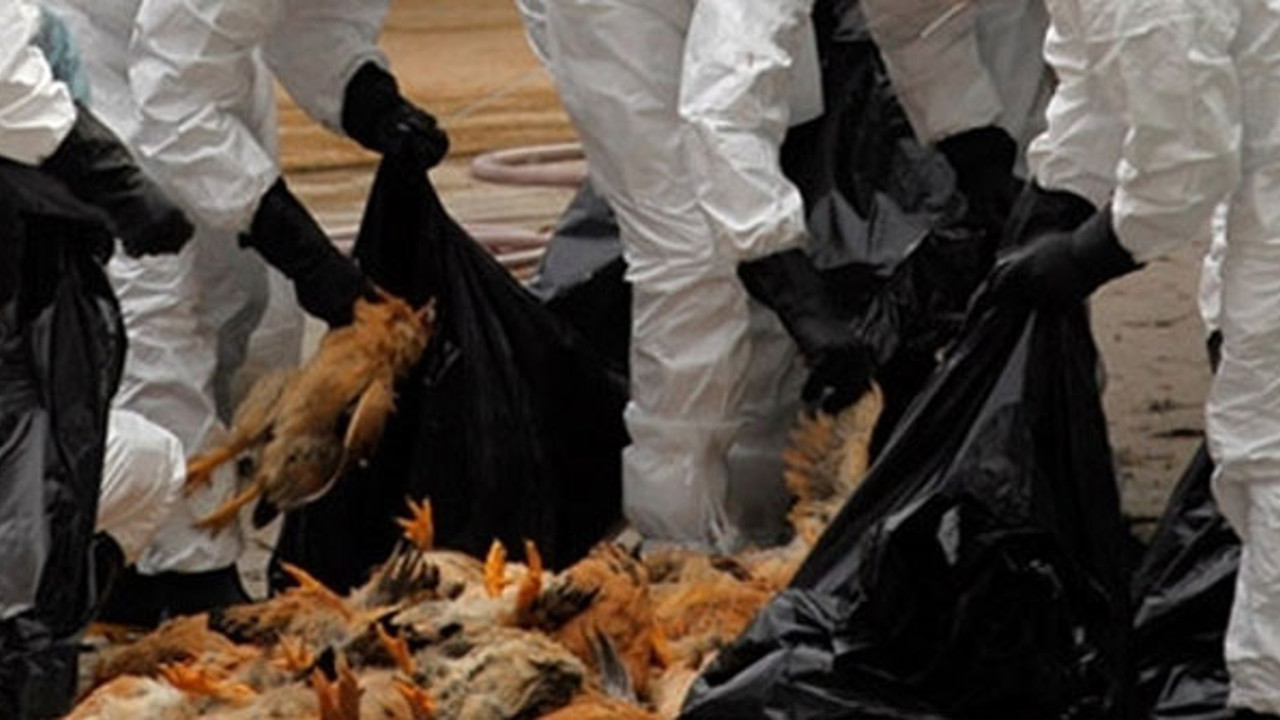 IKBY, İran dahil 31 ülkeden tavuk eti ithalatını durdurdu