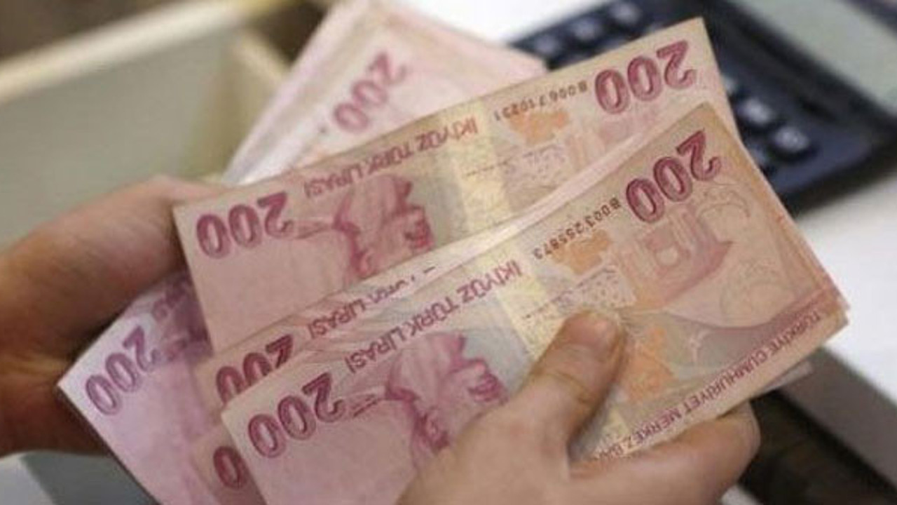 Türk Lirası'nın değer kaybı yüzde 30'u aştı