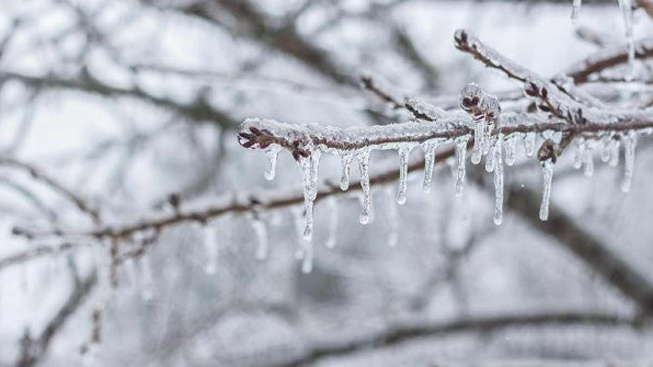 Doğu Anadolu'da buzlanma ve don uyarısı (01 Ocak 2019)