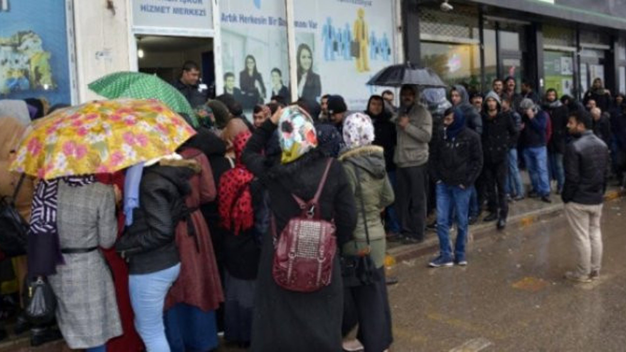 Kamuda iş kurası çekimi için hayvanat bahçesine çağırdılar!