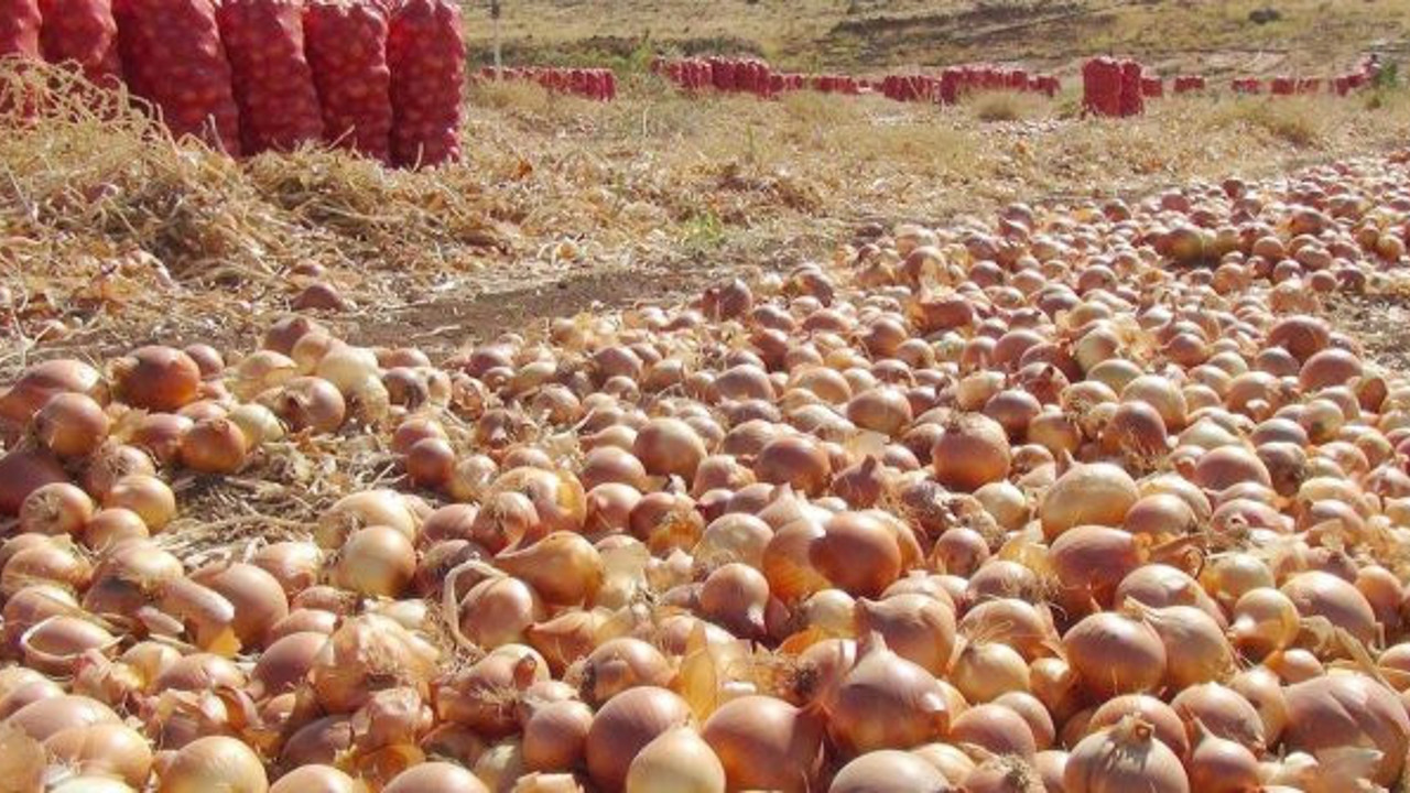 CHP'li Gökçel: “Hükümet ithalat ekip kriz biçiyor”