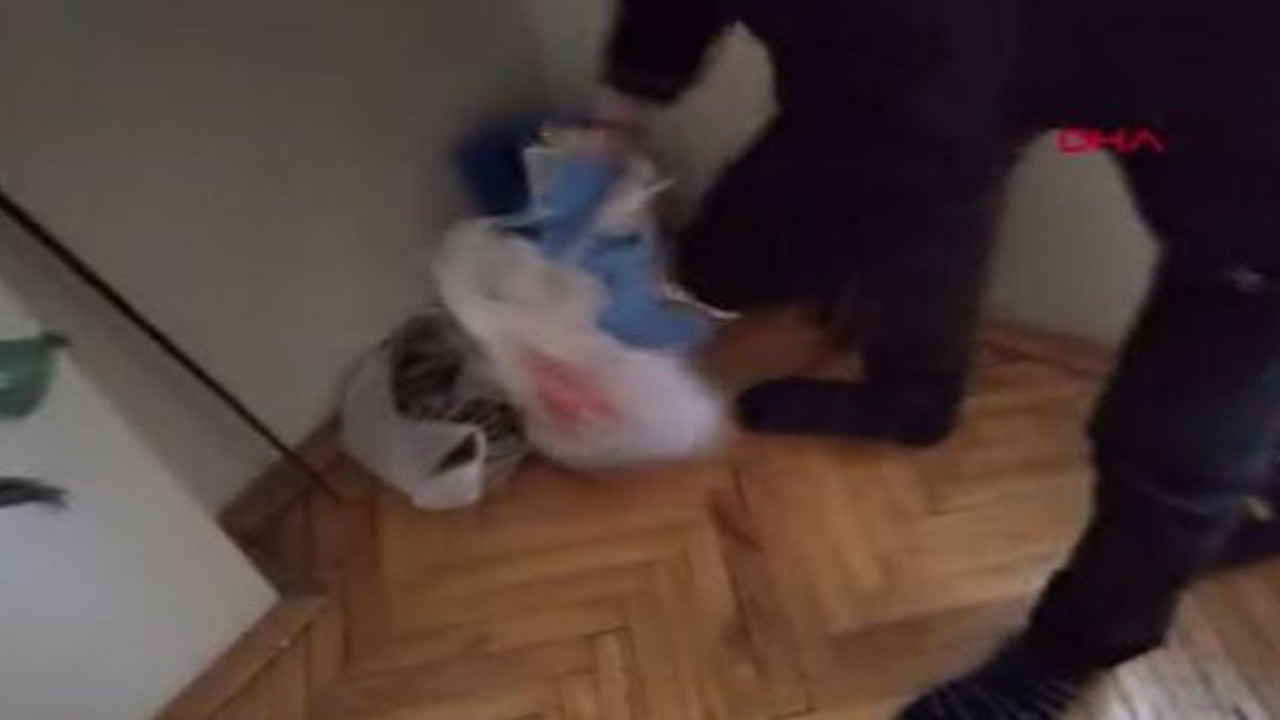 İstanbul'da 11 farklı tarihi eser operasyonu