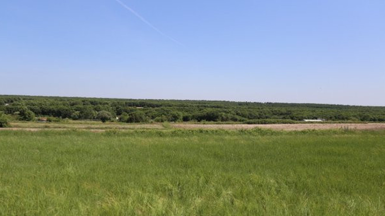 Termik santral projesinde kafa karıştıran gelişme: Bakanlık, AKP'li vekili yalanladı
