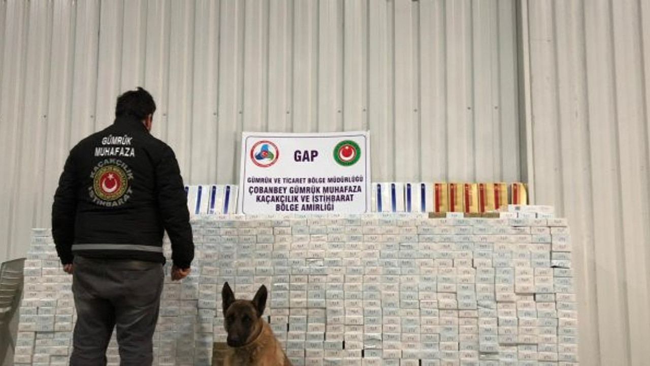 30 bin paket kaçak sigara ele geçirildi