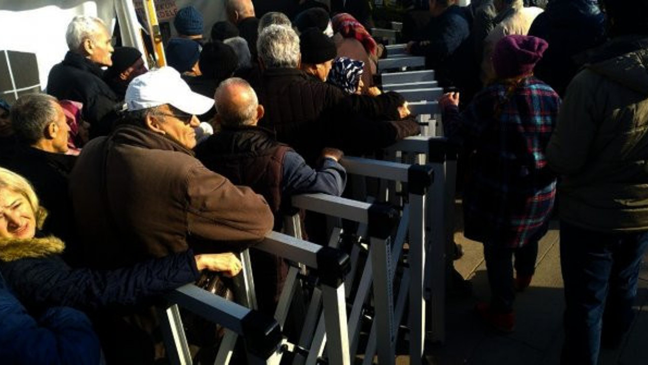 Tanzimden sonra seracılık yatırımı yapılacak