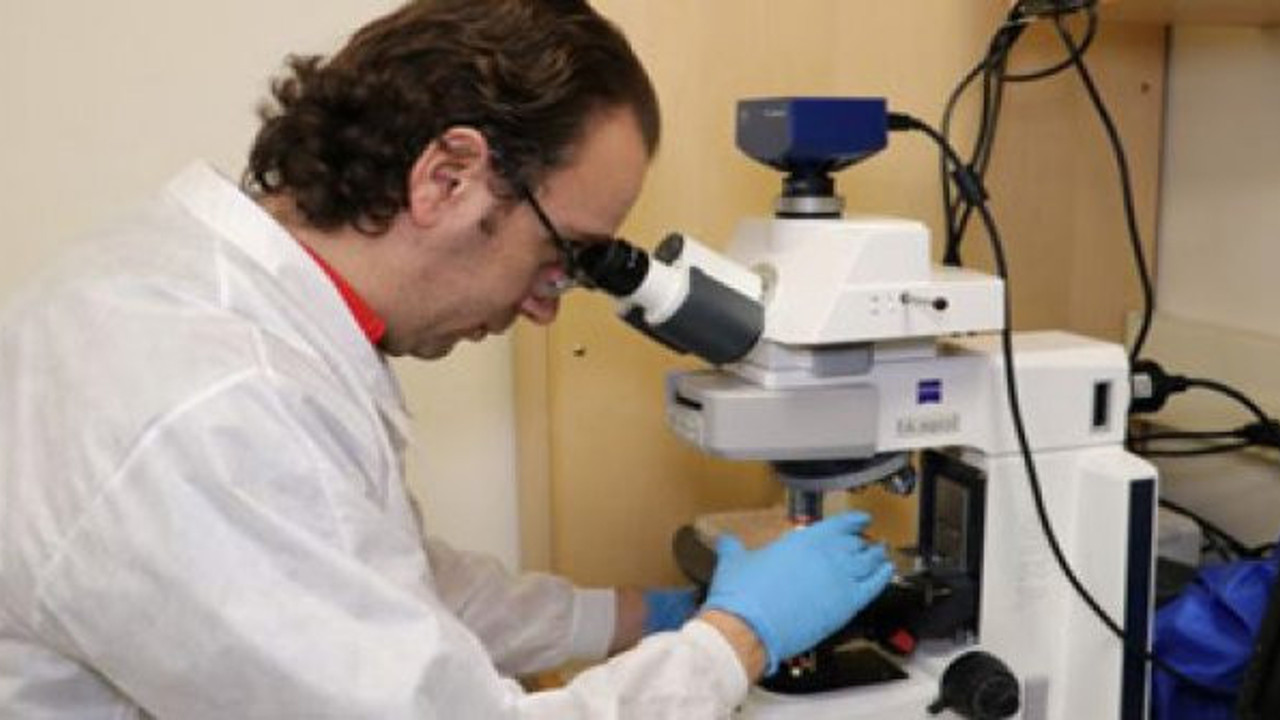 Kansere karşı yeni keşif