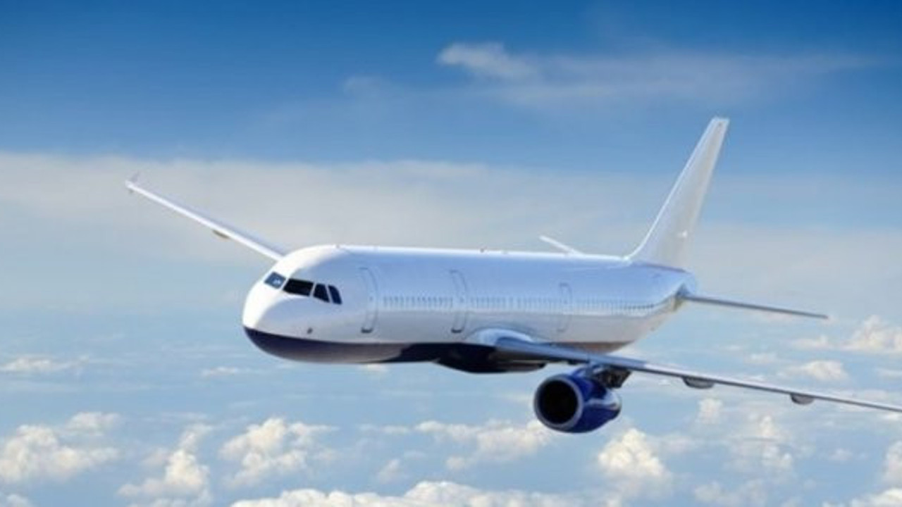 Havada panik! Acil iniş yaptı