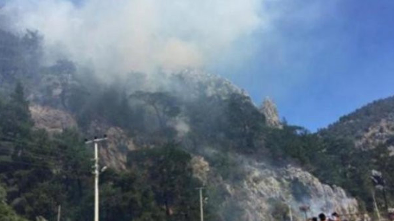 Antalya Kumluca'da orman yangını