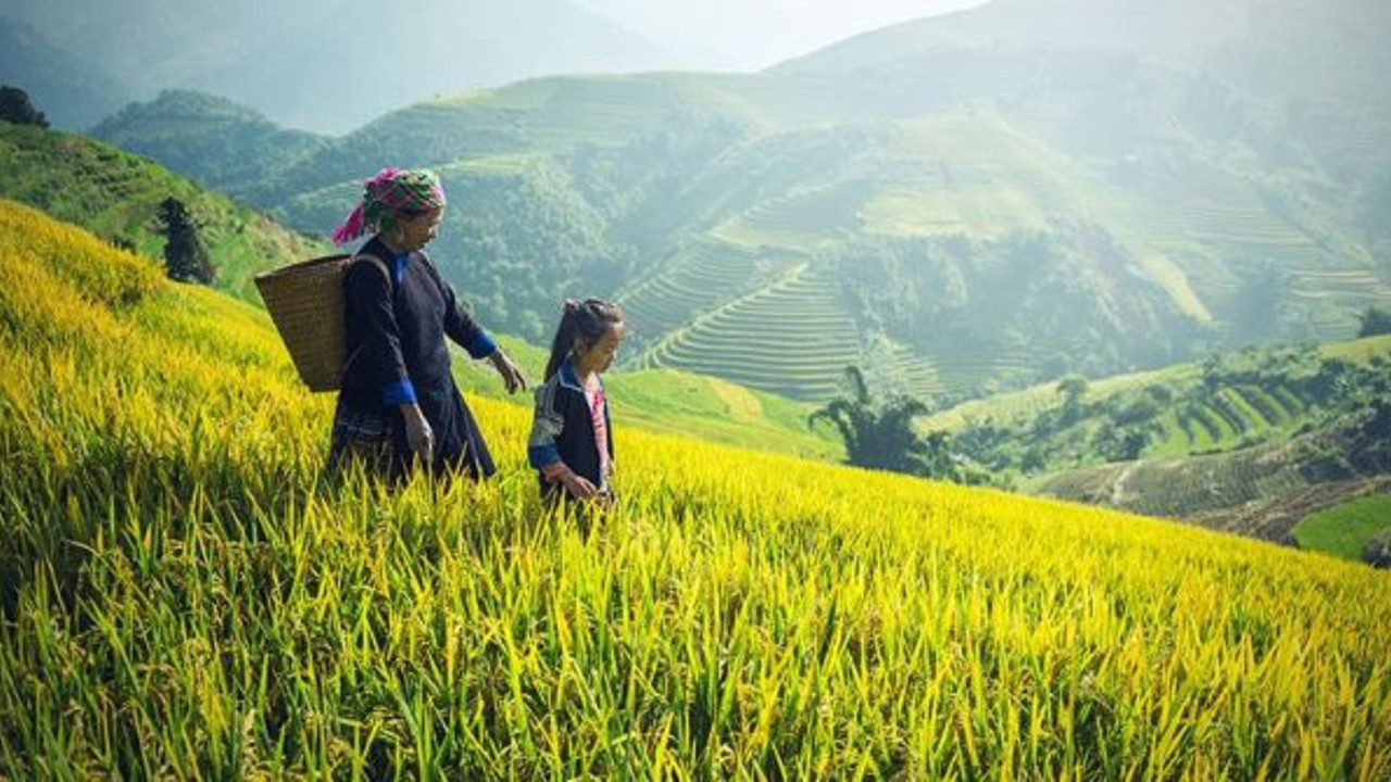Atık sudan "antimikrobiyal ambalaj" ürettiler