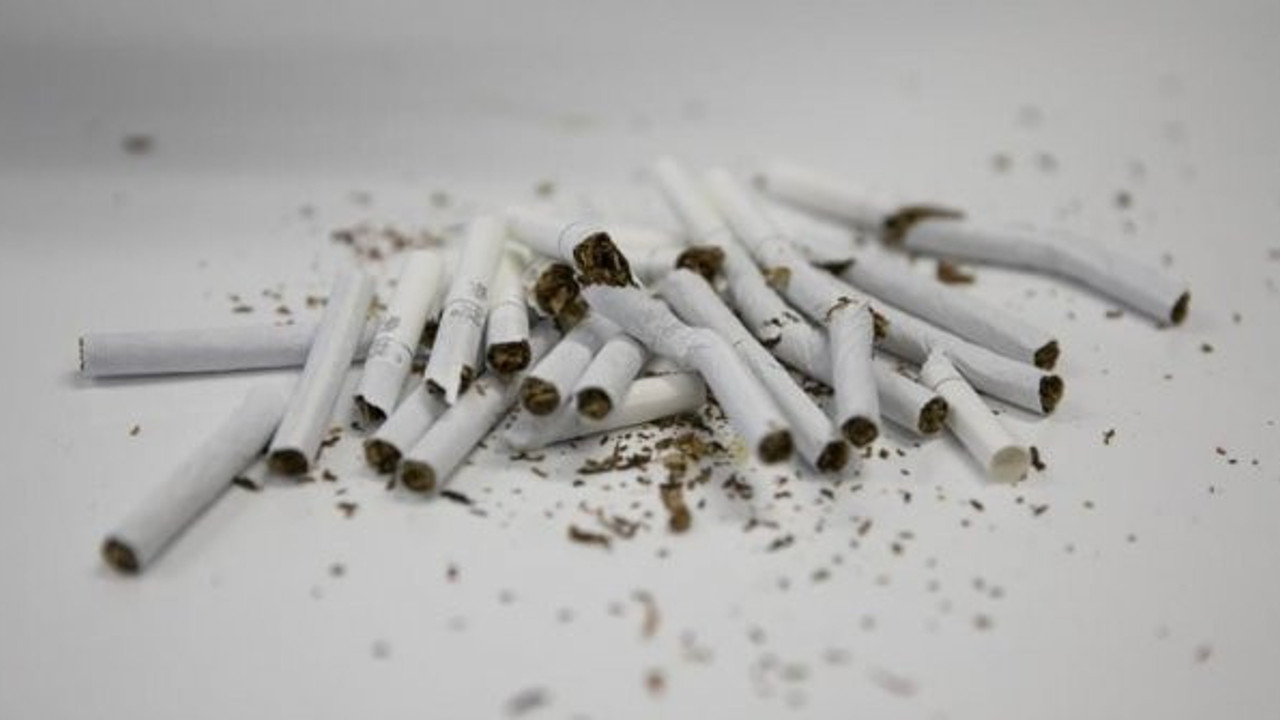 "İnternette 'beğeni sevdası' sigarayla mücadeleye zarar veriyor"