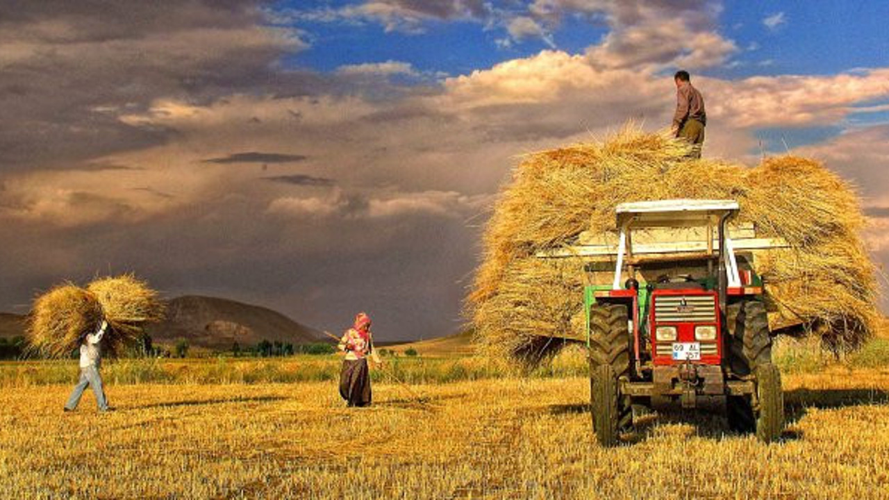 Tarımda yok olmanın eşiğindeyiz!