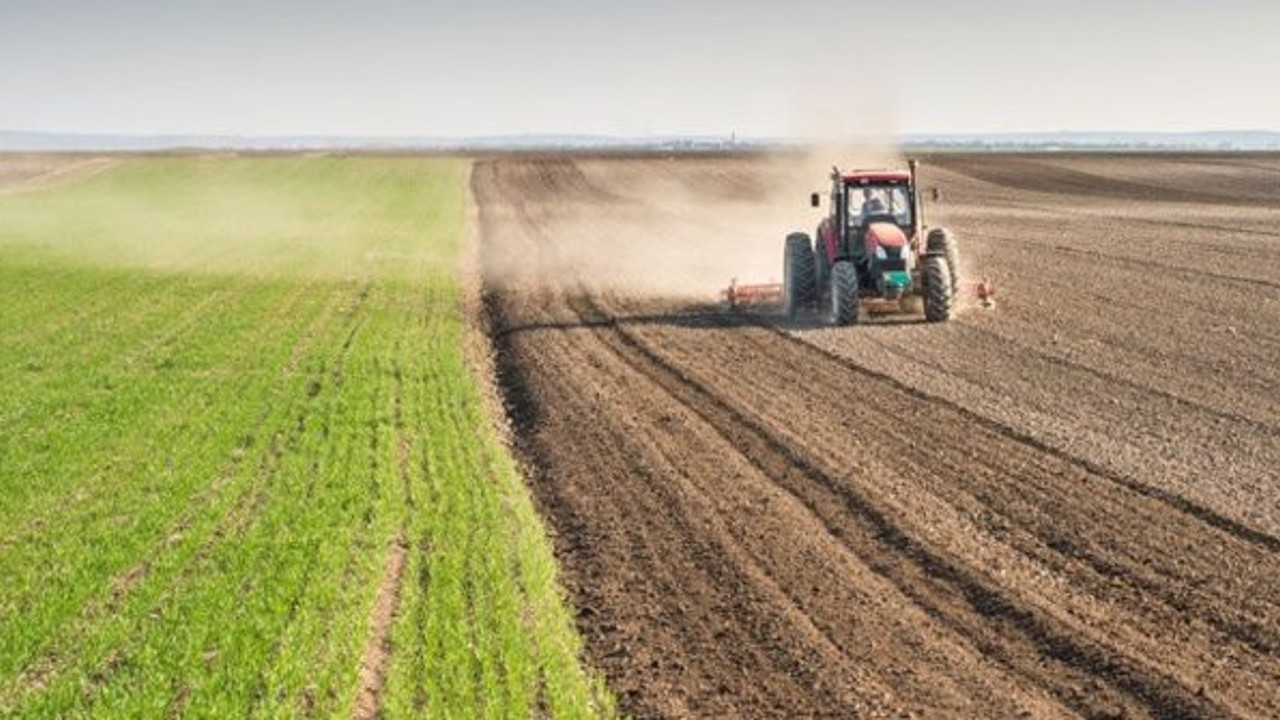 'Tarımda ithalat'ta liste kabarıyor: Arpa, soya, ayçiçeği...