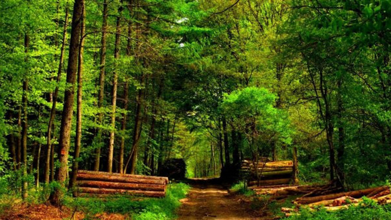 Hazine bin 78 futbol sahası borçlandı!