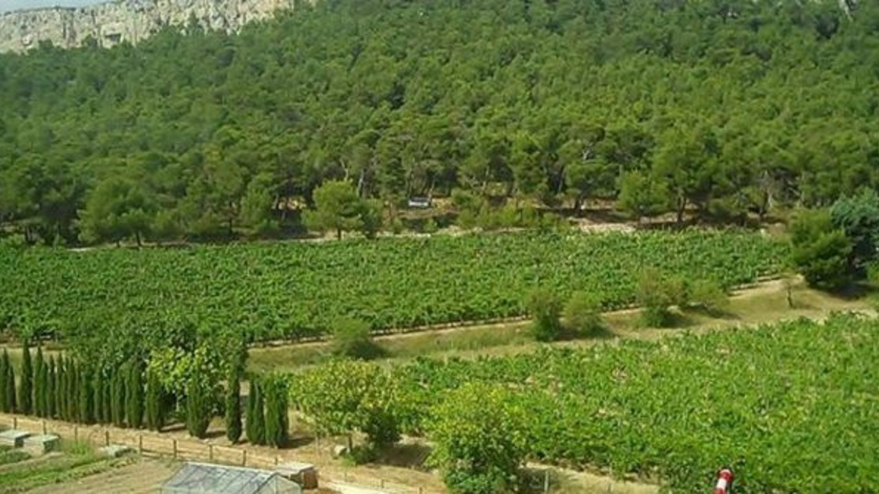 Atatürk Orman Çiftliği kiraya çıktı