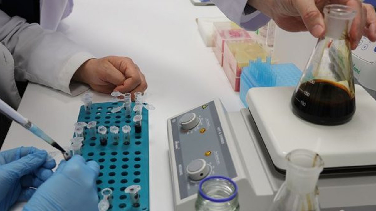 Eklem tedavisi için frenk üzümünden eklem sıvısı ürettiler