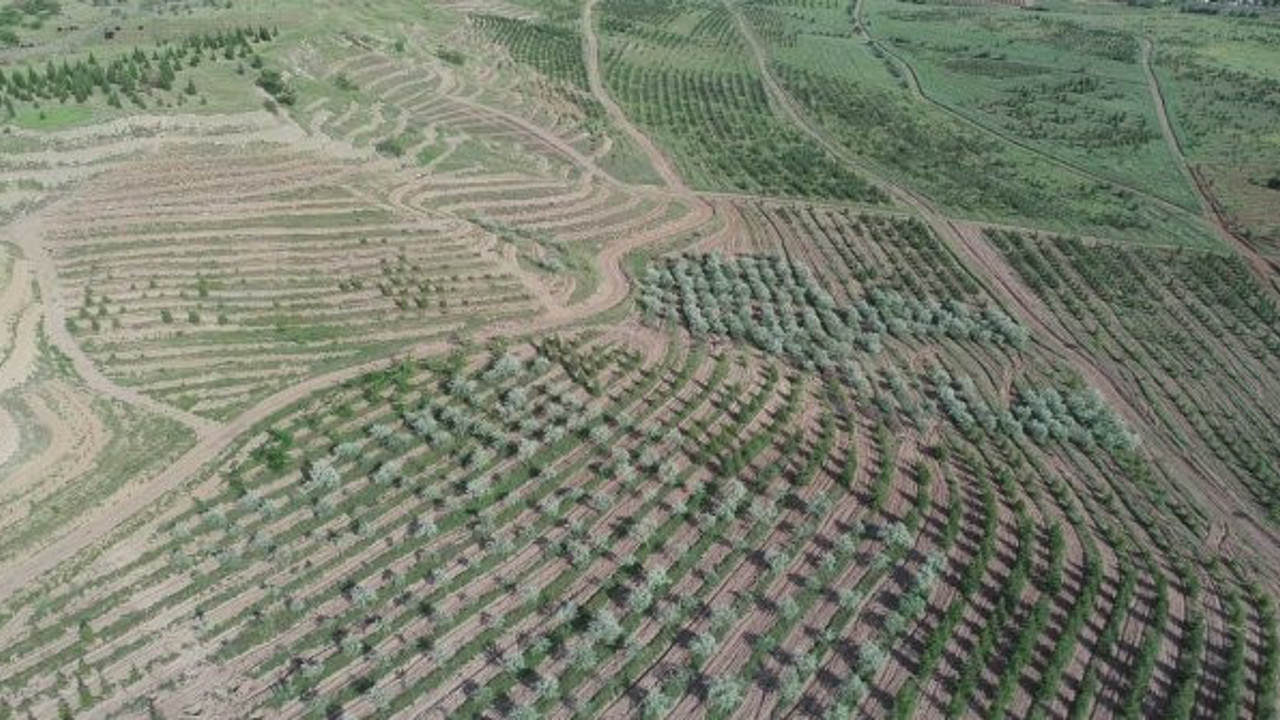CHP’li Emir: “AOÇ'de yeni talan hazırlığı mı yapılıyor?”