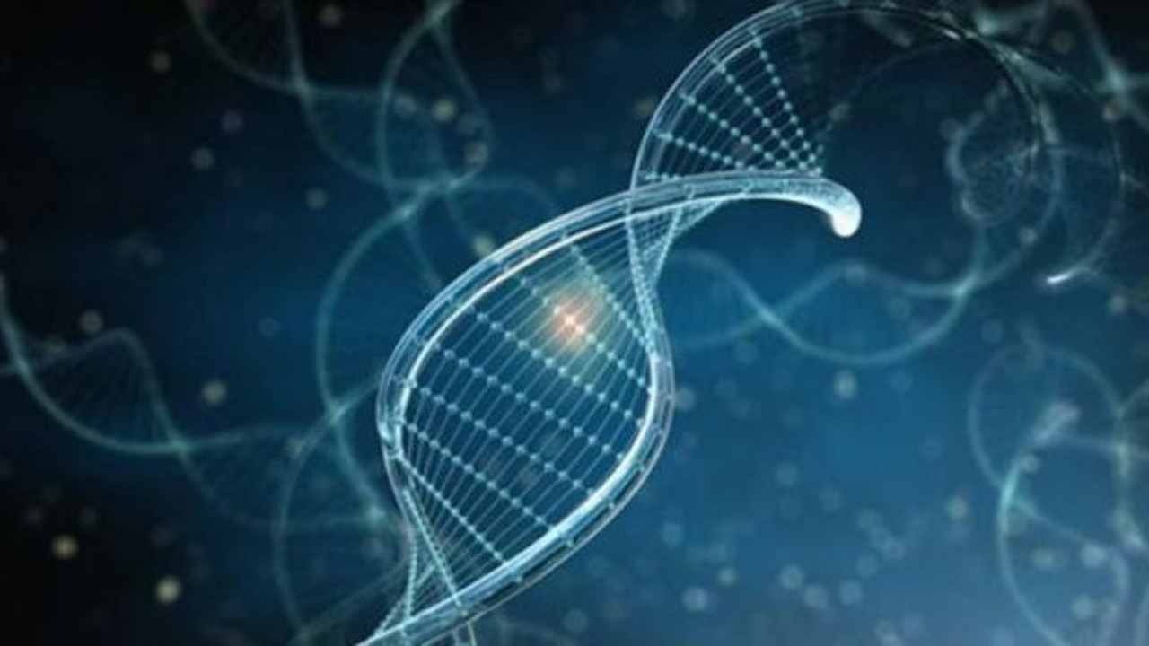 Meksika kıyılarında yeni bir yaşam türüne rastlandı