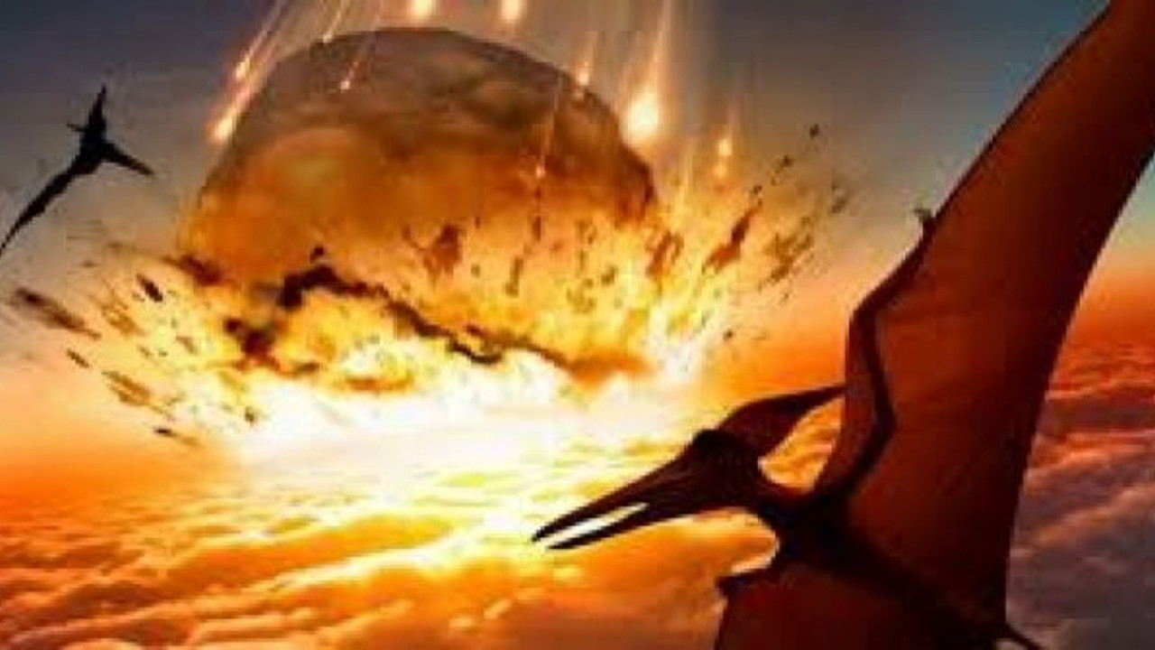 BM ‘Biyolojik Yok Oluş’ konusunda uyarıyor