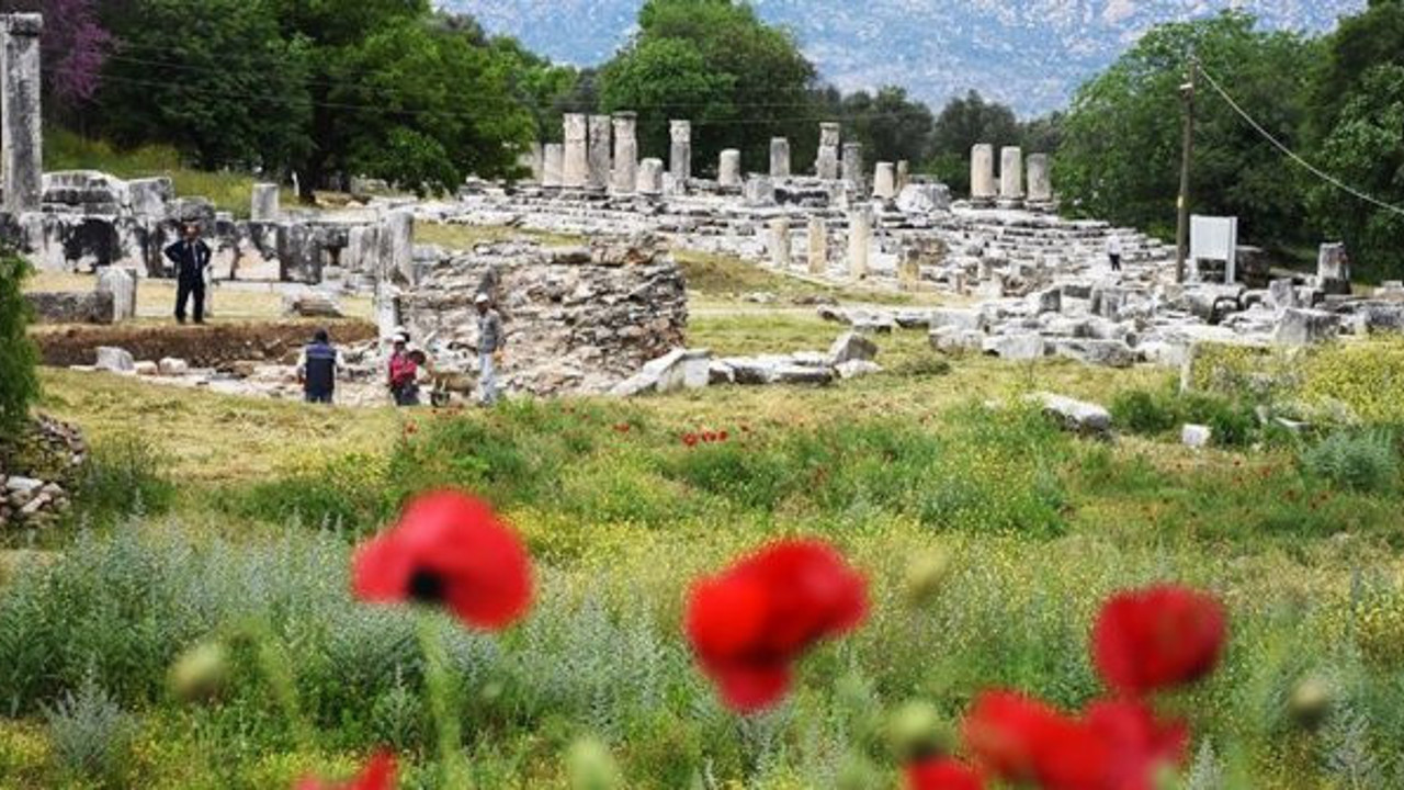 Lagina Kutsal Alanı'nda sütunlar ayağa kalkıyor