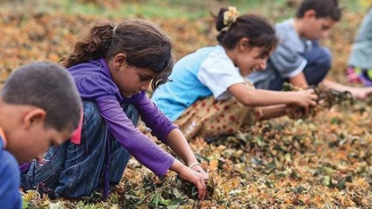 Çocuk işçi sayısı 2 milyona dayandı