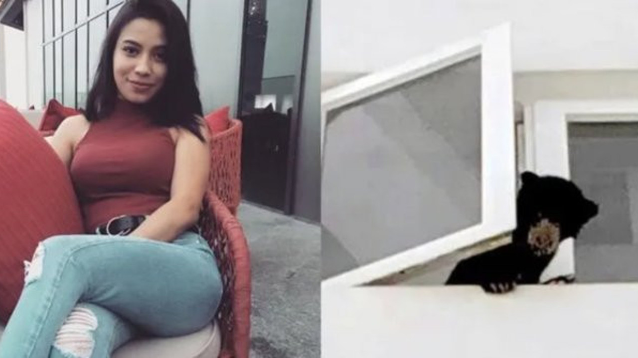 Köpek yavrusu sanıp evine götürdüğü hayvan ayı çıktı