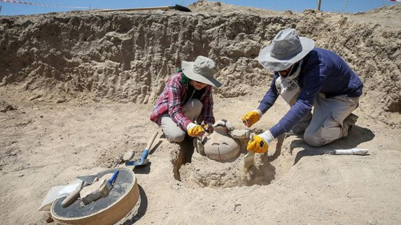 Çavuştepe Kalesi'nde Urartu tarihi ortaya çıkarılıyor