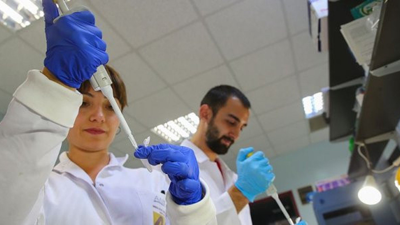 Türk bilim insanları 4 ölümcül virüs tespit etti