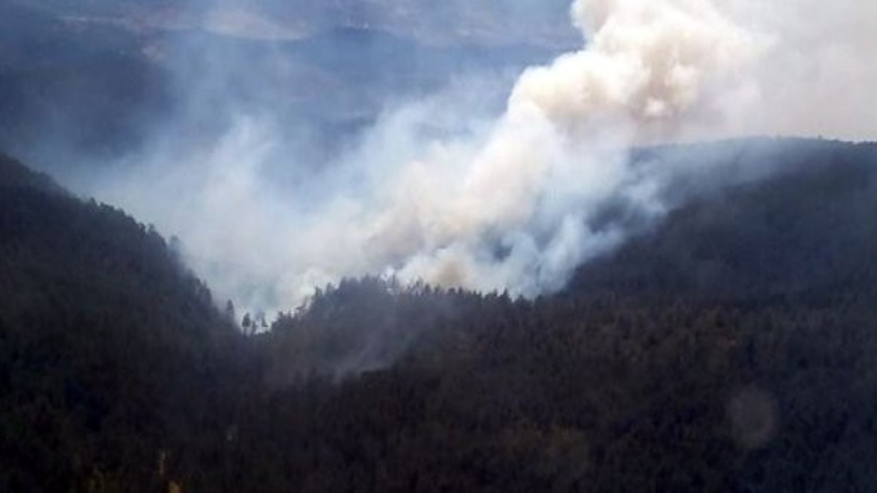 9 noktada birden çıkan yangından sabotaj şüphesi