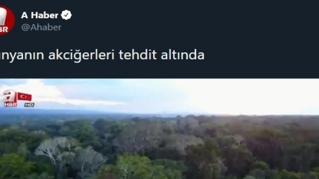 İktidara yakın kanaldan tepki çeken doğa haberi