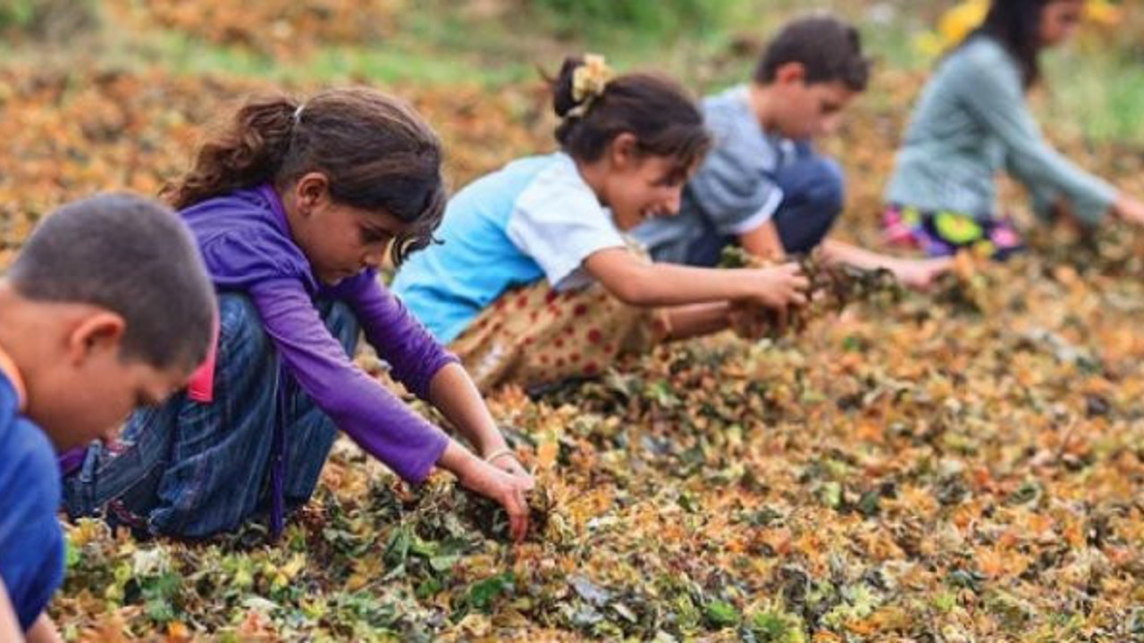 Babalar işsiz, çocuklar işçi!