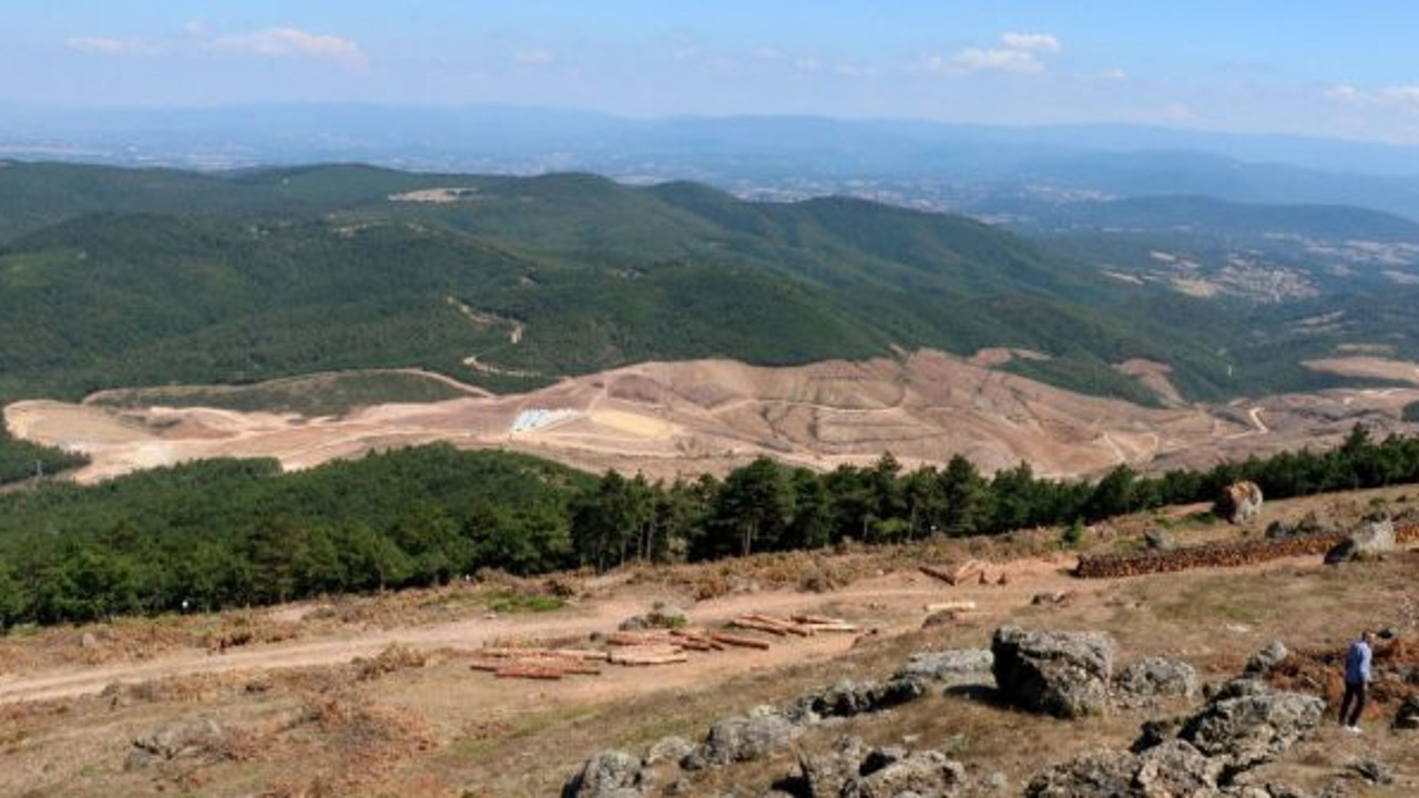 "Arama ruhsatı 200 bin ağaç kesmeye izin vermez"