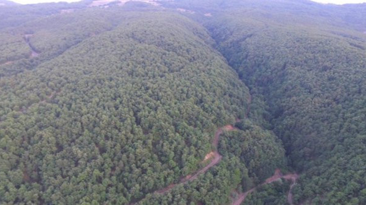 Günde 216 kilogram dinamit patlatılacak