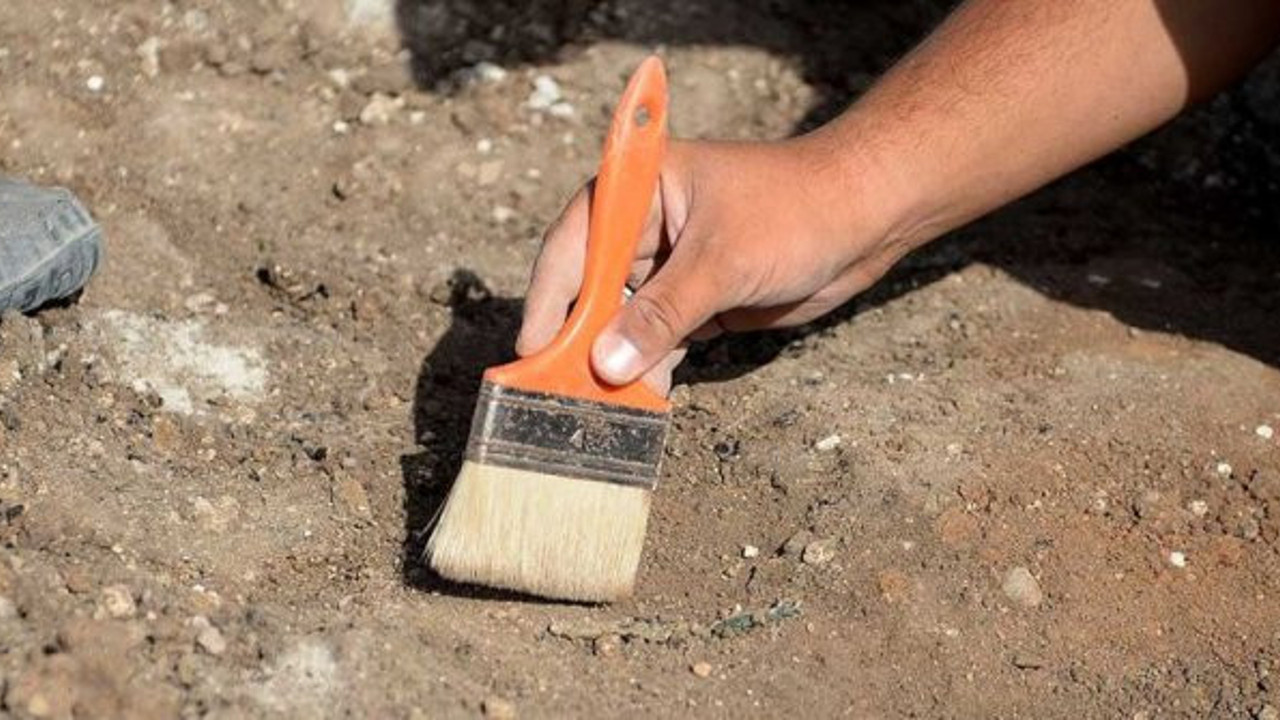 Kayseri'de 7,5 milyon yıllık mamut fosili bulundu