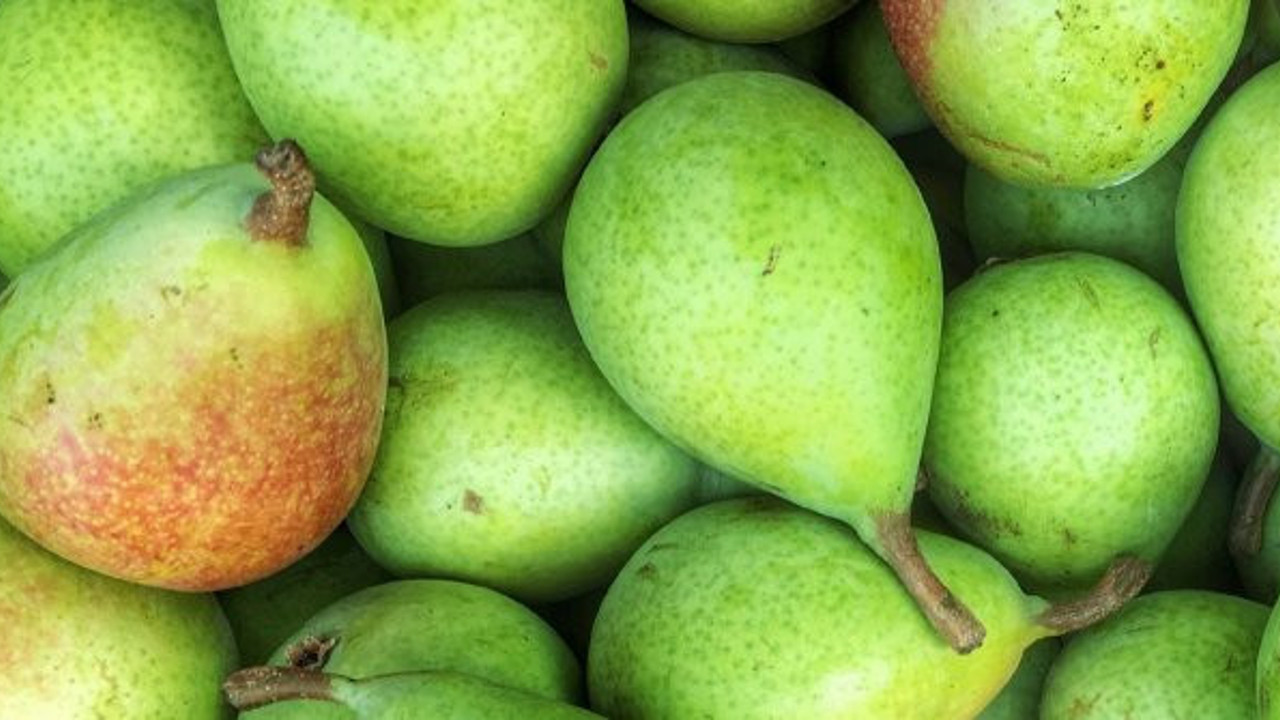 Zayıflamak isteyenlere 'armut' önerisi