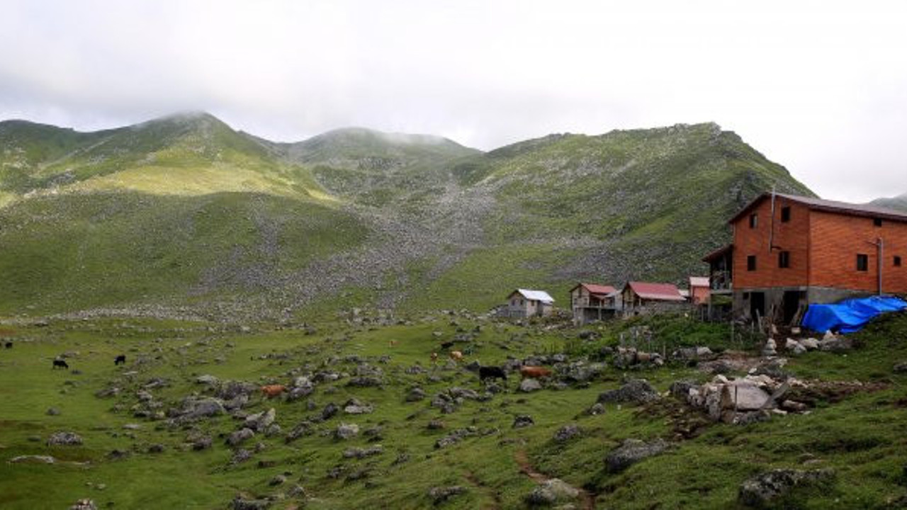 Karadeniz yaylalarında 'bungalov' furyası