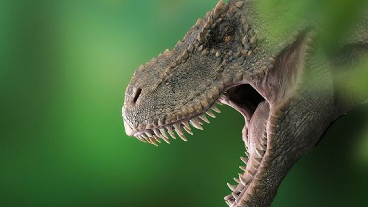 T-Rex'lerin kafataslarında doğal klima keşfedildi