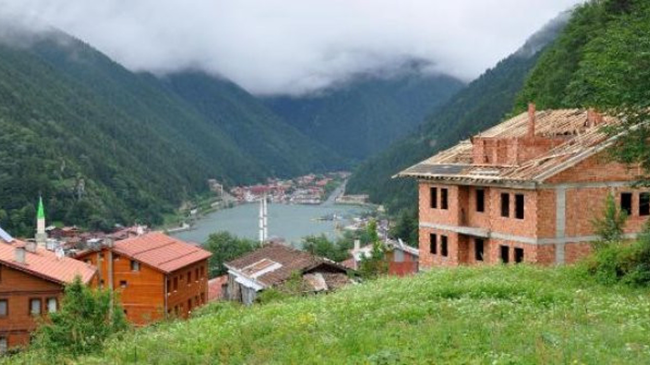 Uzungöl'de hayvancılıkla uğraşanların mera alan sıkıntısı