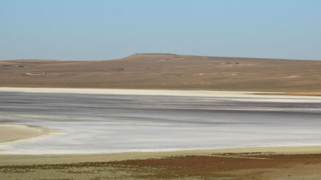 185 kuş türüne ev sahipliği yapıyordu: Kurudu!