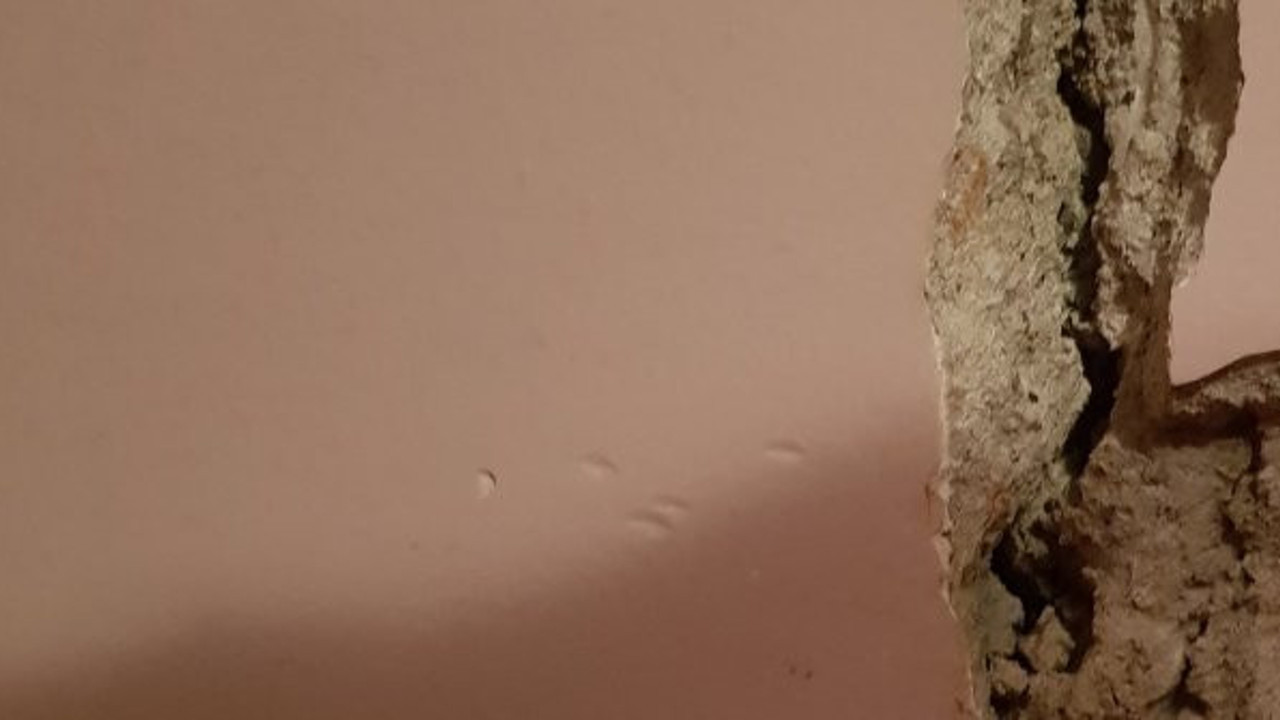 Vatandaşın deprem çaresizliği: "Herkes topu birbirine atıyor"