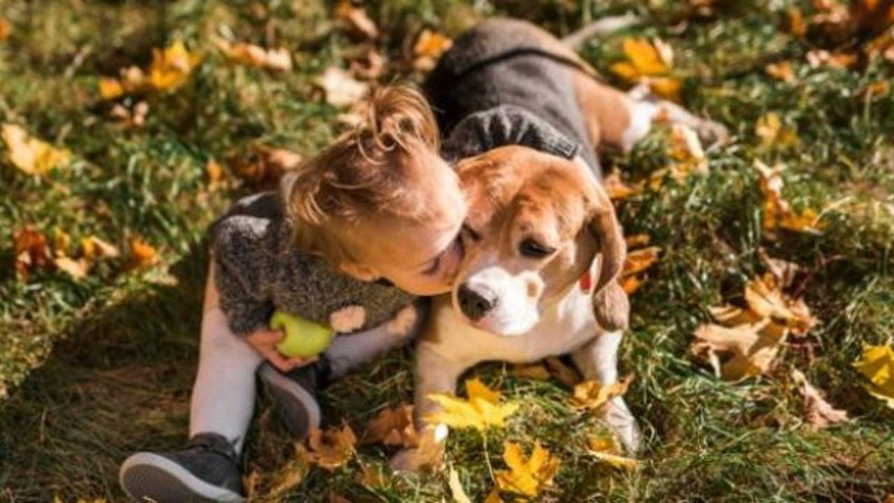 "Hayvan sevgisi depresyonu önlüyor"