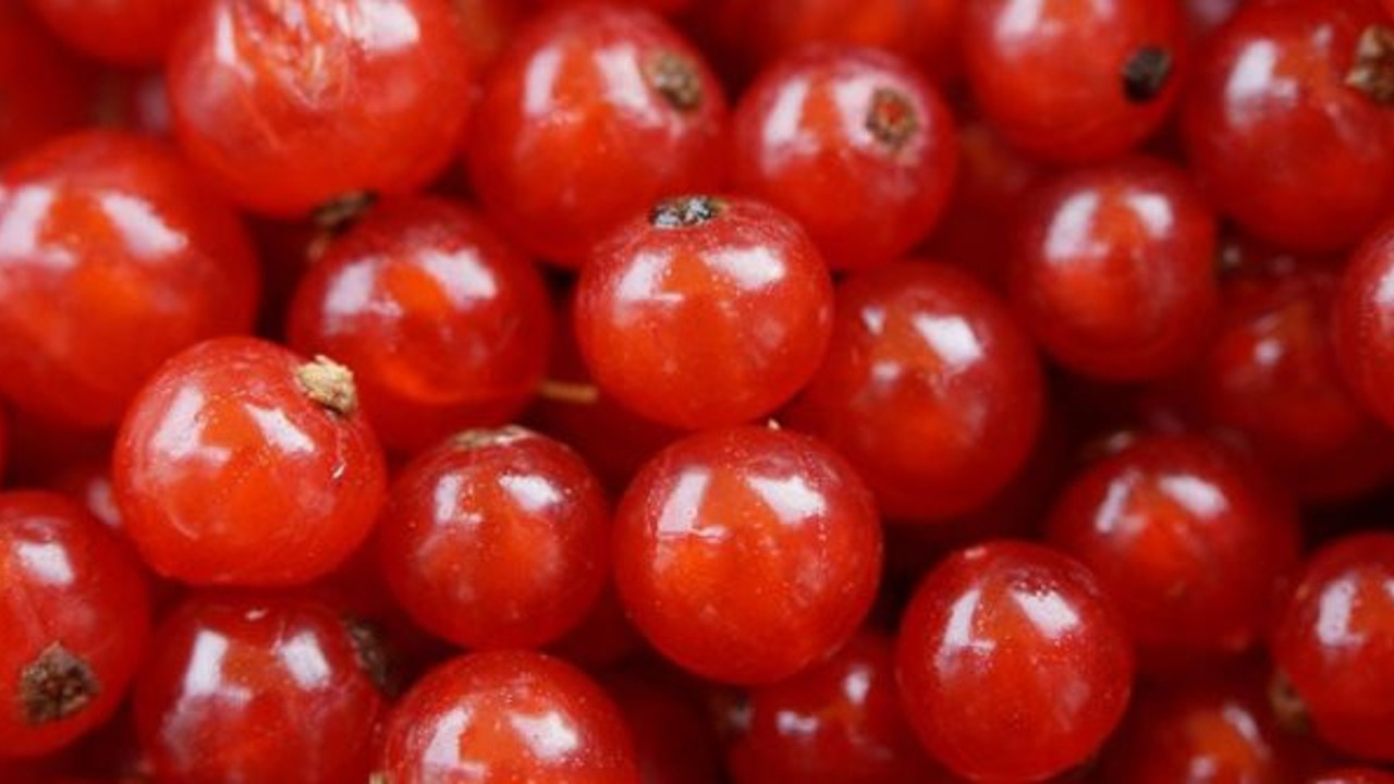 Kekreyemiş kan şekeri ile insülini dengeliyor