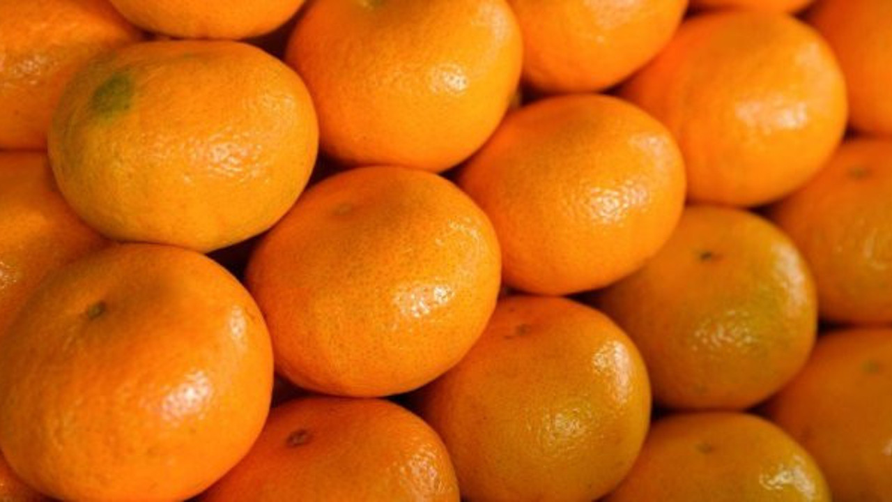 Rusya'nın geri gönderdiği 'haşereli' ürünler iç pazara mı sürülüyor?