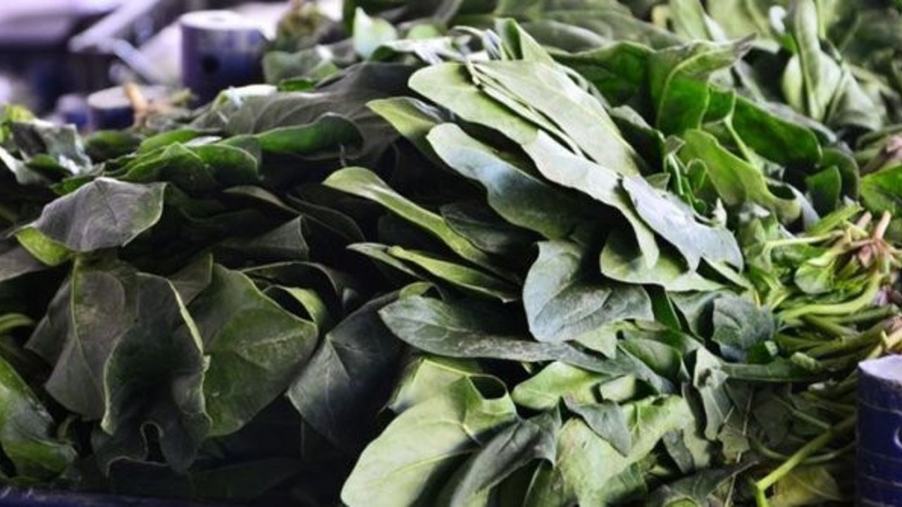 Ispanak zehirlenmelerine ilişkin açıklama yapıldı