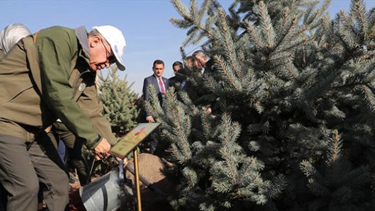 Recep Tayyip Erdoğan, Ekrem İmamoğlu’nu hedef aldı
