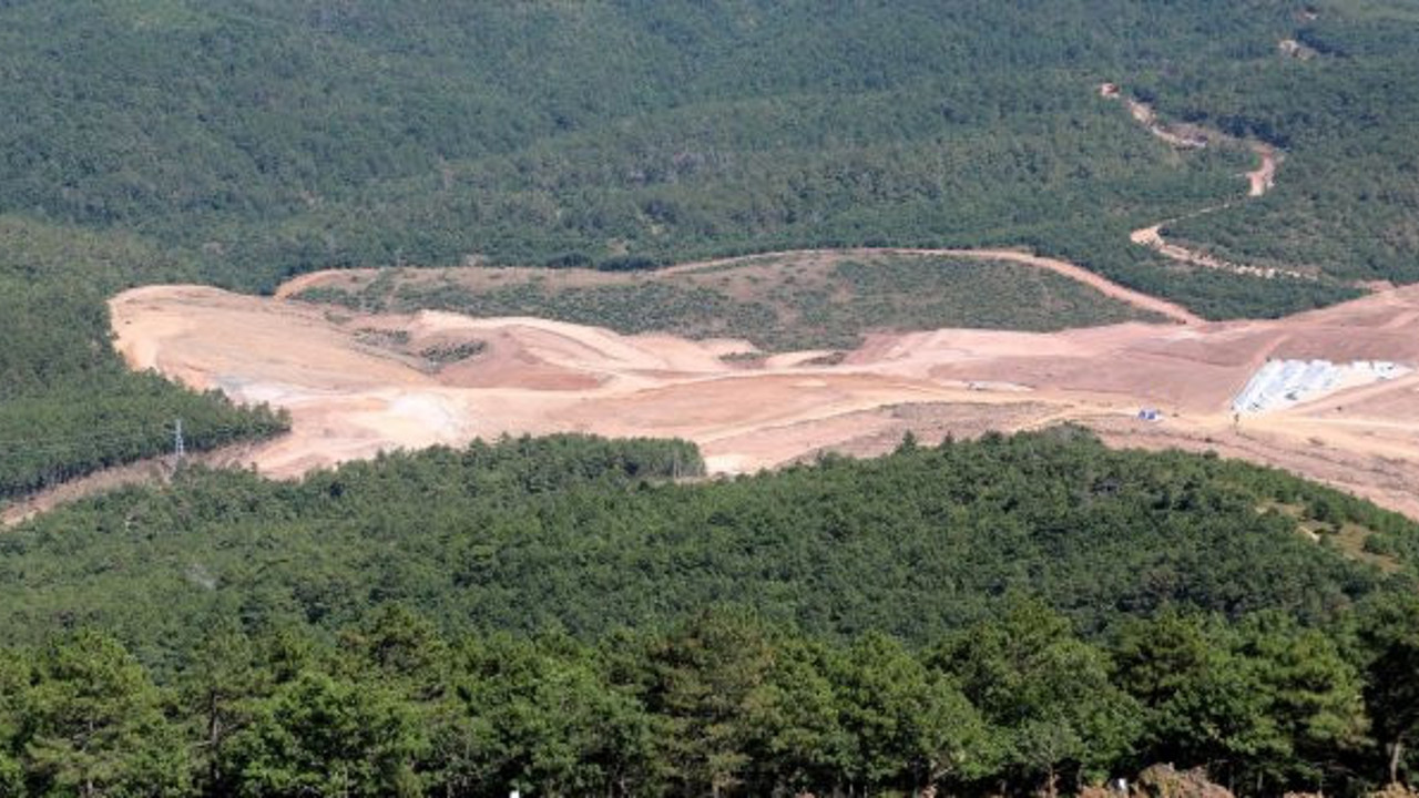 Bakan Kurum, Kaz Dağları’ndaki ağaç katliamı için böyle konuştu!