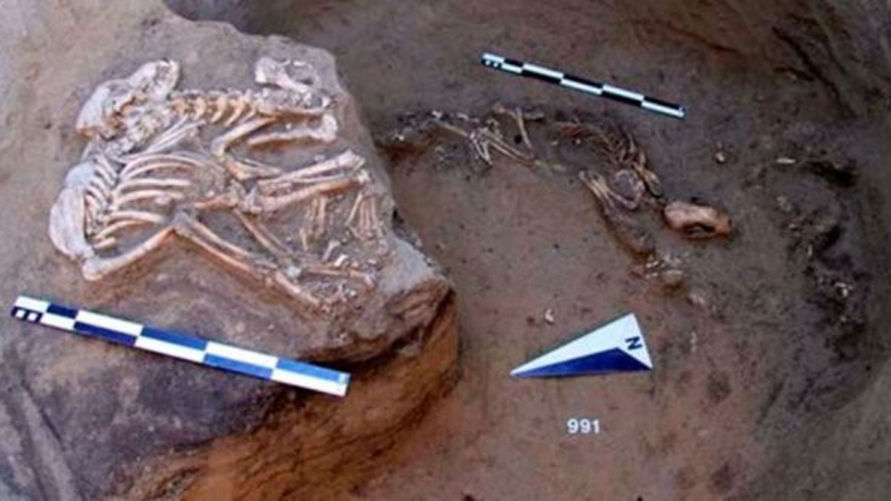 Cilalı Taş devrine ait ibadet eşyaları bulundu!