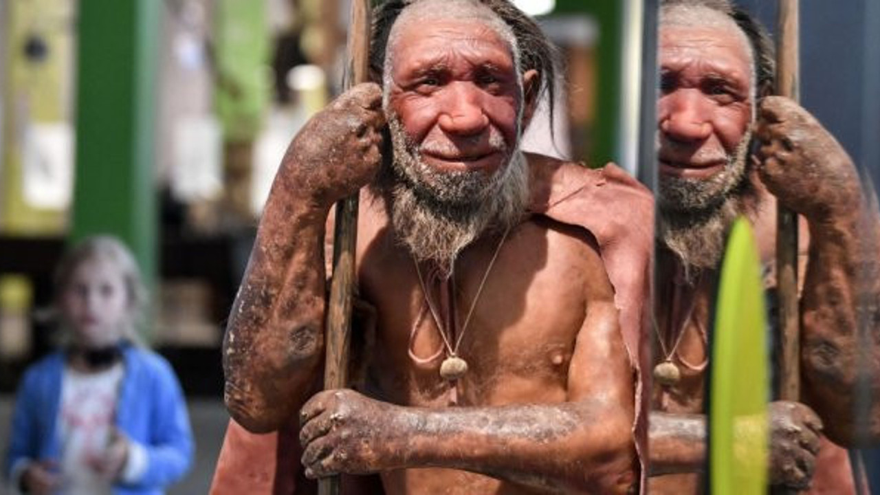 Neandertallerin sonunu 'kötü şansları' mı getirdi?