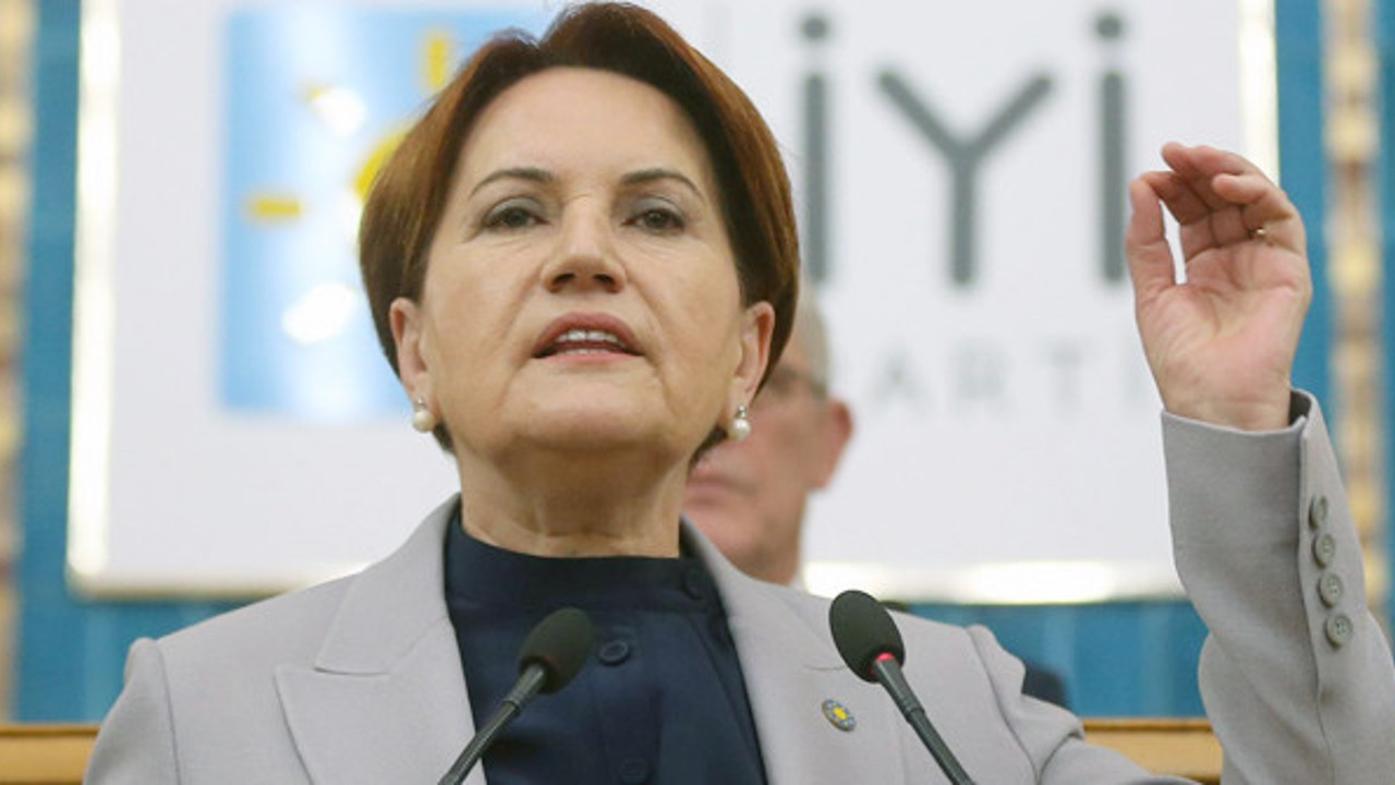 Meral Akşener'den 3 Aralık Dünya Engelliler Günü paylaşımı