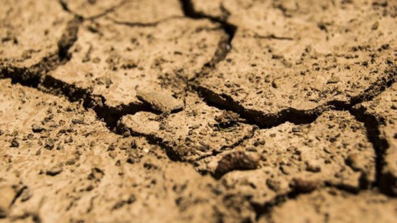 Her yıl 24 milyar ton toprak kaybediliyor